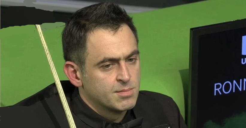 表现充满期 表现充满期